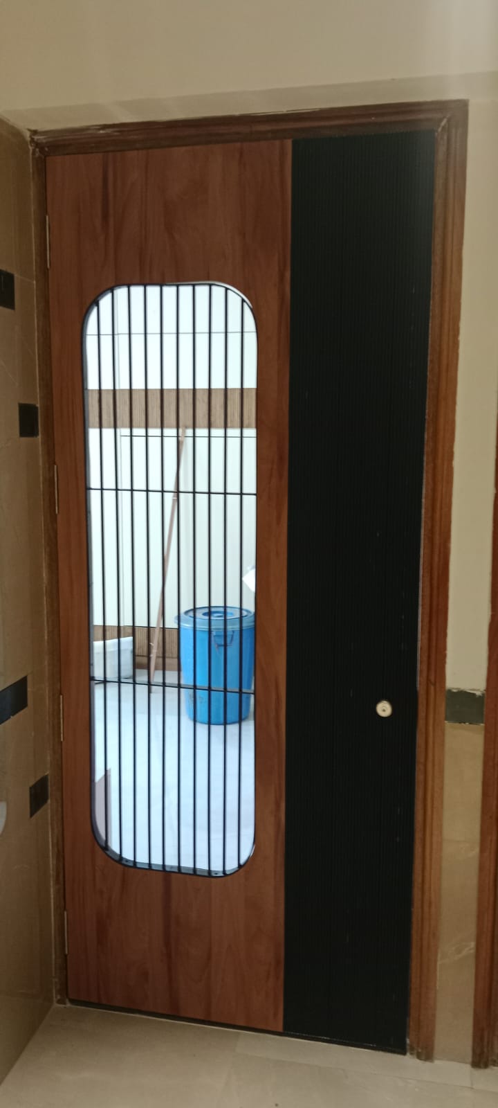 Flat Entrance Door Mumbai