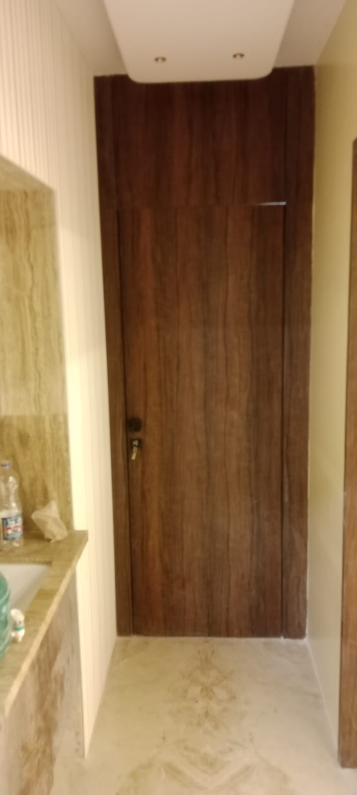Modern Laminate Door India